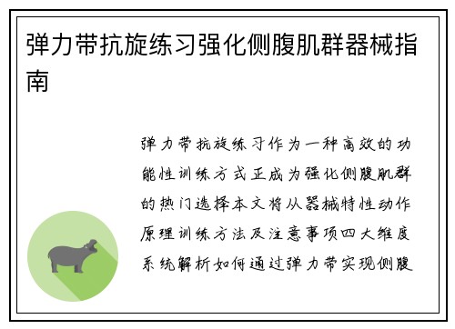 弹力带抗旋练习强化侧腹肌群器械指南