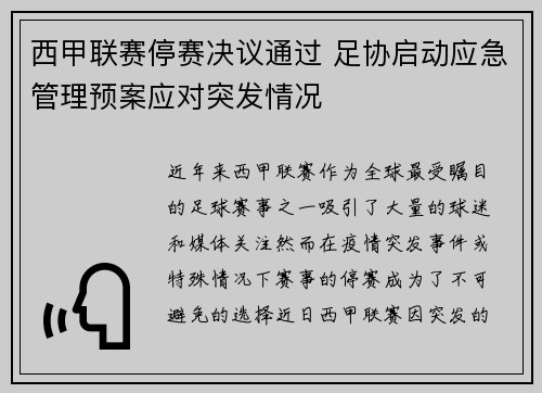 西甲联赛停赛决议通过 足协启动应急管理预案应对突发情况